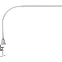 MAUL MAULpirro Schreibtischlampe weiß 6 W mit Tischklemme MAUL MAULpirro Schreibtischlampe weiß 6 W mit Tischklemme von Maul