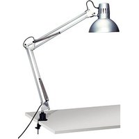 MAUL MAULstudy Schreibtischlampe silber mit Tischklemme von Maul