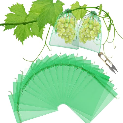 Traubenschutzbeutel, 70 Stück Weintrauben Schutzbeutel 20 x 30 cm, Obst Schutzbeutel Grün mit Schere, Organzabeutel Garten Netzbeutel mit Zugband zum Schutz vor Vögel Wespen Insekten Traubenschutzbeutel, 70 Stück Weintrauben Schutzbeutel 20 x 30 cm, Obst Schutzbeutel Grün mit Schere, Organzabeutel Garten Netzbeutel mit Zugband zum Schutz vor Vögel Wespen Insekten von Maxmoc