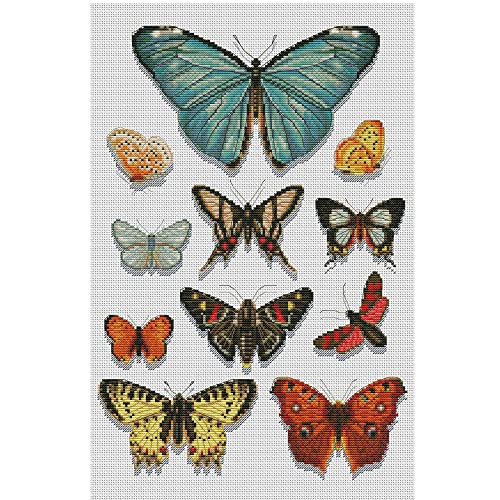Maydear Kreuzstich-Set mit Prägung, komplettes Sortiment an Kreuzstich-Starter-Sets für Anfänger, 14 CT, 2 Stränge – Butterfly specimens,32 x 47 cm von Maydear