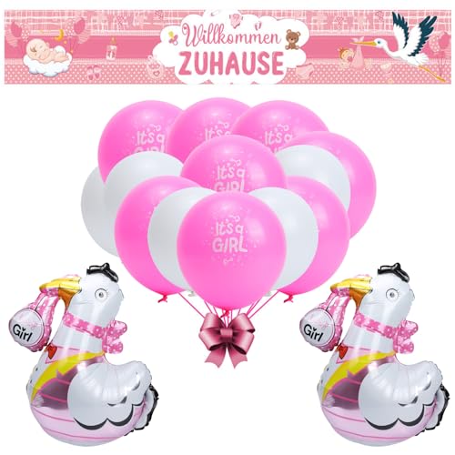 Mayoii Welcome Home Baby, Baby Shower Party Decoration, Stork Birth Welcome Home Reception Party Decoration for Outdoors, Newborn Celebrations (Pink-Set-1) von Mayoii