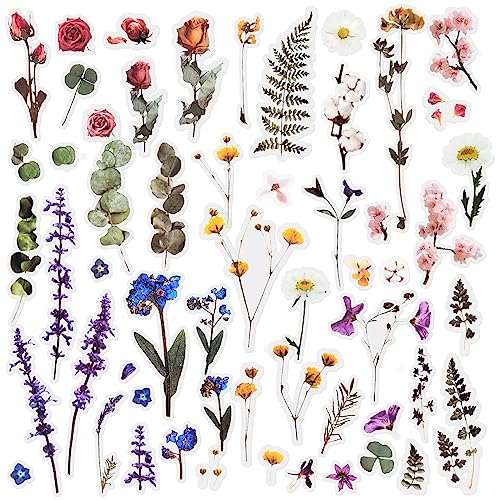 12 Blatt Scrapbook Sticker Sammelalbum Aufkleber Blumenaufkleber Dekoration Planer Aufkleber Pflanzenaufkleber Klares PET für das Scrapbooking-Tagebuch Album Journals DIY Arts and Crafts 12 Blatt Scrapbook Sticker Sammelalbum Aufkleber Blumenaufkleber Dekoration Planer Aufkleber Pflanzenaufkleber Klares PET für das Scrapbooking-Tagebuch Album Journals DIY Arts and Crafts von Mayplous