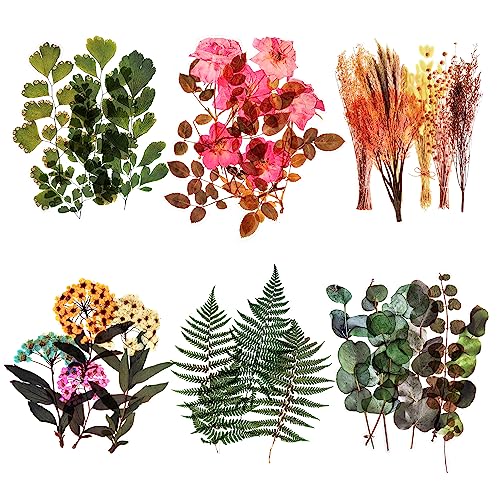 6 Packungen Sammelalbum Aufkleber Große Größe Wandaufkleber HAUSTIER Blumenaufkleber Dekoration Aufkleber Pflanzenaufkleber für Fenster Glastür Scrapbooking Tagebuch Album Tagebücher Arts (Weekend) 6 Packungen Sammelalbum Aufkleber Große Größe Wandaufkleber HAUSTIER Blumenaufkleber Dekoration Aufkleber Pflanzenaufkleber für Fenster Glastür Scrapbooking Tagebuch Album Tagebücher Arts (Weekend) von Mayplous