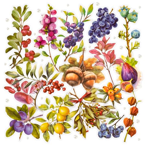 Scrapbook-Aufkleber mit Obstmotiv, natürlicher Pflanzenaufkleber, Obstaufkleber mit Zweig und Blatt, Beeren, Trauben, Orangen, Zitronen, dekorativer Aufkleber für Tagebuch, Planer, DIY-Basteln (Fruit) Scrapbook-Aufkleber mit Obstmotiv, natürlicher Pflanzenaufkleber, Obstaufkleber mit Zweig und Blatt, Beeren, Trauben, Orangen, Zitronen, dekorativer Aufkleber für Tagebuch, Planer, DIY-Basteln (Fruit) von Mayplous