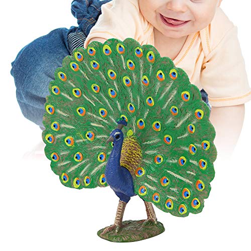 Pfauenmodell, sehr simuliert, Heimbüro, Dekoration, Ornament, Kinderspielzeug, M-1434 Pfau Pfauenmodell, sehr simuliert, Heimbüro, Dekoration, Ornament, Kinderspielzeug, M-1434 Pfau von Mayueri