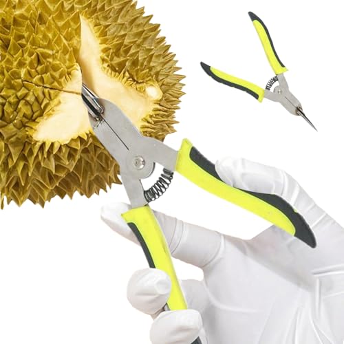 Mbiyhgta Durianöffner Für Frische Durianfrüchte, Obstöffner Für Durian Mit Schalentrennwerkzeug, Rostfeste Ergonomische Küchenzange Für Haushalt Camping Kochen Mit Komfortgriff Mbiyhgta Durianöffner Für Frische Durianfrüchte, Obstöffner Für Durian Mit Schalentrennwerkzeug, Rostfeste Ergonomische Küchenzange Für Haushalt Camping Kochen Mit Komfortgriff von Mbiyhgta
