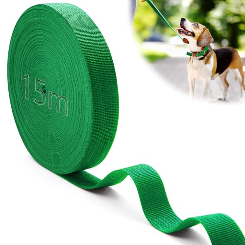 Mbsomnus 15M Gurtband Polypropylen Gurtband 25 mm Grün Gurtband Baumwolle Taschengurt Gurtbänder Wasserresistent Nylonband für Schneiden Nähen DIY Rucksack Gepäckgurten Handtaschen Hundeleinen Mbsomnus 15M Gurtband Polypropylen Gurtband 25 mm Grün Gurtband Baumwolle Taschengurt Gurtbänder Wasserresistent Nylonband für Schneiden Nähen DIY Rucksack Gepäckgurten Handtaschen Hundeleinen von Mbsomnus