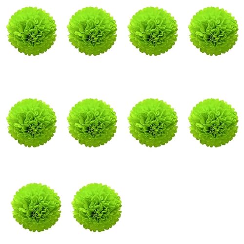 10 x Blumen-Bälle mit Wabenmuster, Seidenpapier-Pompons, zum Aufhängen, 15 cm, für Geburtstag, Party, Hochzeit 10 x Blumen-Bälle mit Wabenmuster, Seidenpapier-Pompons, zum Aufhängen, 15 cm, für Geburtstag, Party, Hochzeit von Mcoser