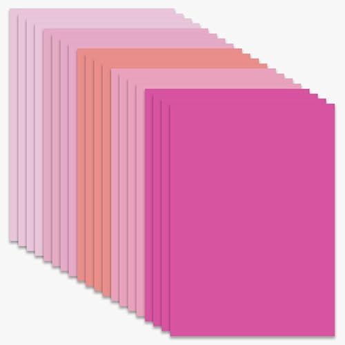 20 Blatt A4-Kartonpapier in 5 Farben, rosa Karton, 230 g, farbiger Karton für Bastelarbeiten 20 Blatt A4-Kartonpapier in 5 Farben, rosa Karton, 230 g, farbiger Karton für Bastelarbeiten von Mcoser