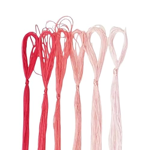 6 x 20 Meter Farbverlauf, rosa Stickgarn in 6 Farben, Seiden-Stickgarn, Freundschaftsarmbänder, Fäden zum Nähen, Kreuzstich, Stricken 6 x 20 Meter Farbverlauf, rosa Stickgarn in 6 Farben, Seiden-Stickgarn, Freundschaftsarmbänder, Fäden zum Nähen, Kreuzstich, Stricken von Mcoser