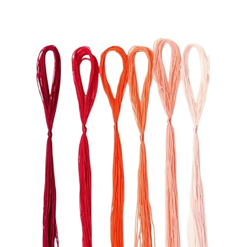 Stickgarn mit Farbverlauf, rot, 6 Stück, 20 m, in 6 Farben, Seiden-Stickgarn, Freundschaftsarmbänder, Fäden zum Nähen, Kreuzstich, Stricken Stickgarn mit Farbverlauf, rot, 6 Stück, 20 m, in 6 Farben, Seiden-Stickgarn, Freundschaftsarmbänder, Fäden zum Nähen, Kreuzstich, Stricken von Mcoser