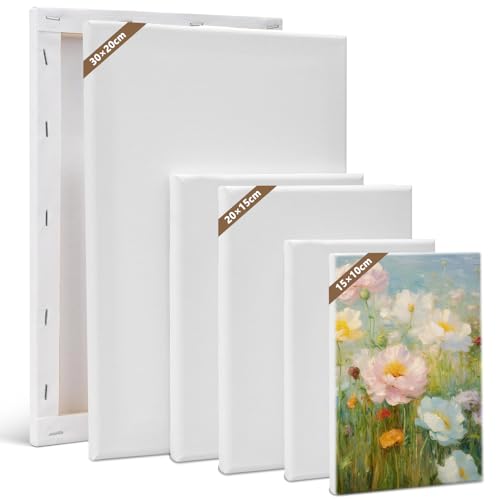 Keilrahmen Set, 6 Stücke Leinwand zum bemalen, 100% Baumwolle Leinwände Set, Rahmen für Leinwand für Ölmalerei, Leinwände Groß für Handwerker Malerei für alle Farben Gouache, Acrylfarben, 3 Größen Keilrahmen Set, 6 Stücke Leinwand zum bemalen, 100% Baumwolle Leinwände Set, Rahmen für Leinwand für Ölmalerei, Leinwände Groß für Handwerker Malerei für alle Farben Gouache, Acrylfarben, 3 Größen von MeYuxg