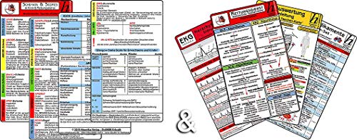 Schemata & Scores + Rettungsdienst Karten-Set (2in1 Set) - SSSS-Schema, ABCDE-Schema, Basics-Schema, IPAP-Schema, SAMPLER(!) S, FAST, OPQRST, PECH-Regel, 4Hs, HITS, KUSS von Medizinische Taschenkarten