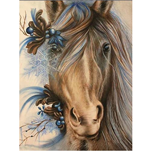 Meecaa Diamond Painting Set Full Bilder Blume Pferd Tier, 5D Diamant Painting Diamant Malerei mit Zubehör 30x40cm (Pferd 1) von Meecaa