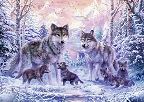 Meecaa Diamond Painting Set Full Bilder Tier Wolf Jungtier Schnee, 5D Diamant Painting Diamant Malerei mit Zubehör 30x40cm (Tier) von Meecaa