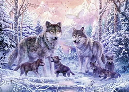 Diamond Painting Set Full Bilder Tier Wolf Jungtier Schnee, Meecaa 5D Diamant Painting Diamant Malerei mit Zubehör 30x40cm (Tier) von Meecaa