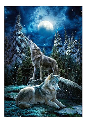 Meecaa Diamond Painting Set Full Bilder Tier Wolf Mondlicht Baum, 5D Diamant Painting Diamant Malerei mit Zubehör 30x40cm (Wolf 1) von Meecaa