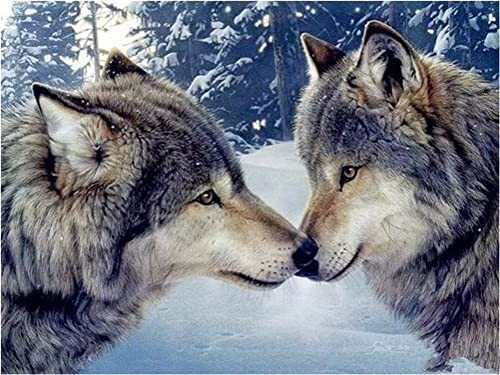 Meecaa Diamond Painting Set Full Bilder Wolf Tier Ehepartner Schnee, 5D Diamant Painting Diamant Malerei mit Zubehör 30x40cm (Wolf) von Meecaa