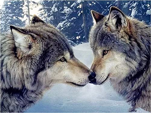 Diamond Painting Set Full Bilder Wolf Tier Ehepartner Schnee, Meecaa 5D Diamant Painting Diamant Malerei mit Zubehör 30x40cm (Wolf) von Meecaa