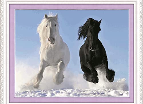 Kreuzstich-Set, 11 Stück, gestempelt, Meecaa Schwarz und Weiß Pferd Tier Lauf Stickset mit Zubehör vorgedruckt (40 cm x 50 cm) (Schwarz und Weiß Pferd) von Meecaa