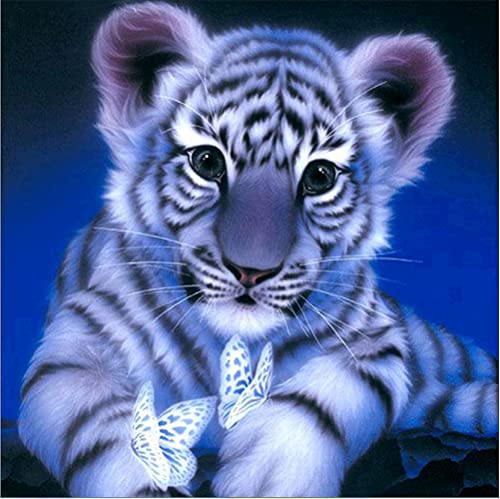 Meecaa Kreuzstich-Set, 11-fädig, geprägt, Tigertierjunges, Schmetterling, Stickset mit Zubehör, vorgedruckt (36 x 36 cm) (Tiger) von Meecaa