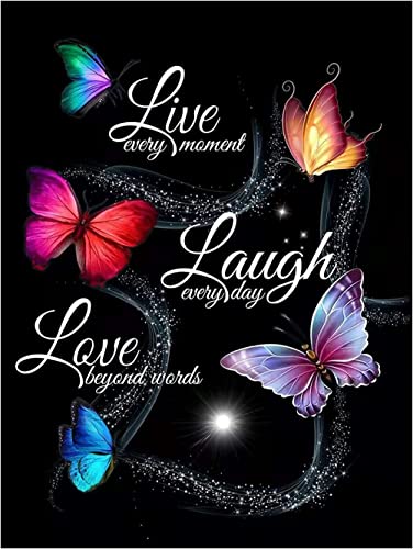 Meecaa Diamant-Malerei-Set mit Werkzeug, Schmetterling-Text, Liebe, DIY, 5D-Vollbohrer, Kreuzstich, Diamant-Mosaik, Kunsthandwerk, 30 x 40 cm Meecaa Diamant-Malerei-Set mit Werkzeug, Schmetterling-Text, Liebe, DIY, 5D-Vollbohrer, Kreuzstich, Diamant-Mosaik, Kunsthandwerk, 30 x 40 cm von Meecaa