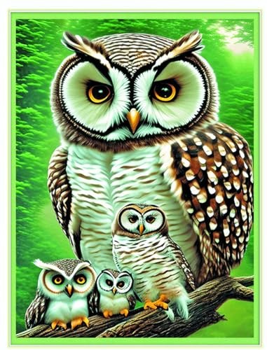 Meecaa Kreuzstich-Set, 11-fädig, geprägt, Eule, Tierjunges, Stickset mit Zubehör, vorgedruckt (36 x 46 cm) (Eule 1) von Meecaa