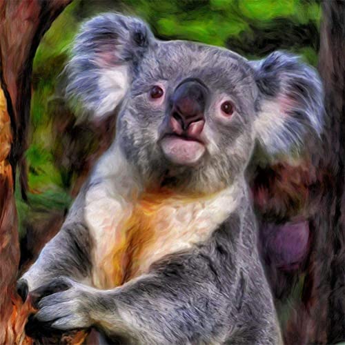 Meecaa Malen nach Zahlen, Koala-Tiere, Set für Erwachsene, Anfänger, DIY-Ölgemälde, 40,6 x 50,8 cm (Koala, ohne Rahmen) von Meecaa