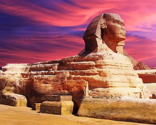 Meecaa Malen nach Zahlen Ägypten Sphinx Kit für Erwachsene Anfänger DIY Ölgemälde 40,6 x 50,8 cm (Sphinx, gerahmt) von Meecaa