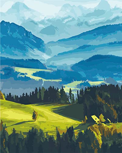 Meecaa Malen nach Zahlen Alpen Berg Landschaft Baum Kit für Erwachsene Anfänger DIY Ölgemälde 40,6 x 50,8 cm (gerahmt Alpen) von Meecaa