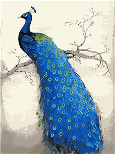 Meecaa Malen nach Zahlen Blau Pfau Kit für Erwachsene Anfänger DIY Ölgemälde 40,6 x 50,8 cm (Pfau, kein Rahmen) von Meecaa