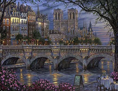 Meecaa Malen nach Zahlen Brücke Straße die Architektur Stadt Landschaft Kit für Erwachsene Anfänger DIY Ölgemälde 16x20 Zoll (Brücke, Rahmenlos) von Meecaa