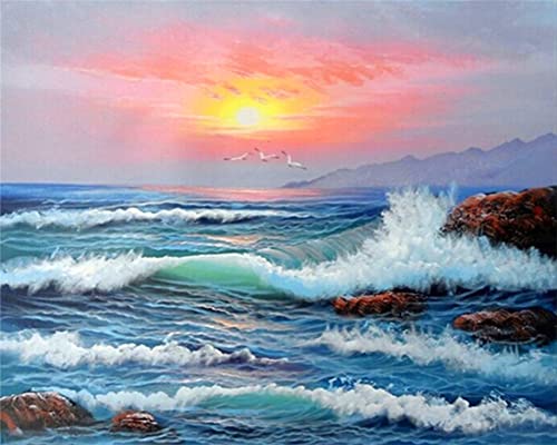 Meecaa Malen nach Zahlen, Landschaft, Meer, Sonnenaufgang, Möwe, Set für Erwachsene, Anfänger, DIY-Ölgemälde, 40,6 x 50,8 cm (Querformat, ohne Rahmen) von Meecaa