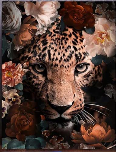 Meecaa Malen nach Zahlen Leopard Tier Blume Kit für Erwachsene Anfänger DIY Ölgemälde 40,6 x 50,8 cm (Leopard, gerahmt) von Meecaa