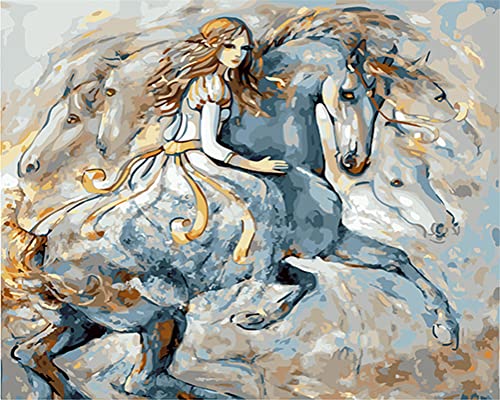 Meecaa Malen nach Zahlen Mädchen Pferd Tier abstrakt Kit für Erwachsene Anfänger DIY Ölgemälde 16x20 Zoll (Mädchen und Pferd, Gerahmt) von Meecaa