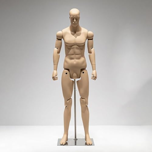 MegLob Flexibler Männlicher/Weiblicher Schaufensterpuppen Torso, Möglicher Schaufensterpuppen Torso Für Display, Schaufensterpuppen -Torso -Kleiderform Für Designstudio,Male Skin von MegLob