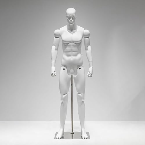 MegLob Flexibler Männlicher/Weiblicher Schaufensterpuppen Torso, Möglicher Schaufensterpuppen Torso Für Display, Schaufensterpuppen -Torso -Kleiderform Für Designstudio,Male White von MegLob