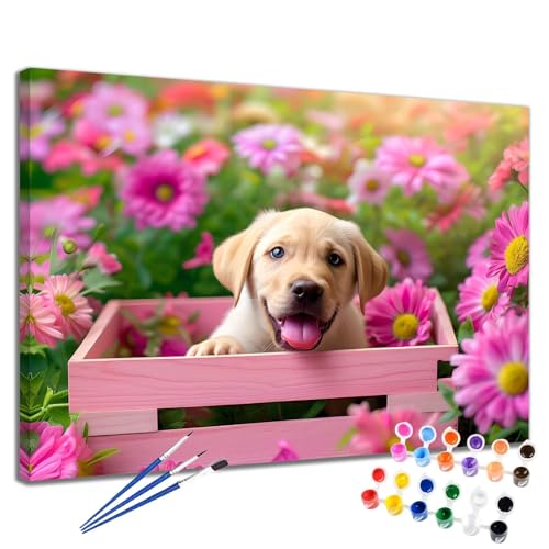 Malen Nach Zahlen Erwachsene Blume Malen Nach Zahlen Hund Groß Format 50x65 cm Handgemalt Ölgemälde, DIY Paint by Numbers Kit 3-Pinseln und Acrylfarbe, Kreativ Bastelset Als Geschenk für Frauen 2W-215 von Meiaiao