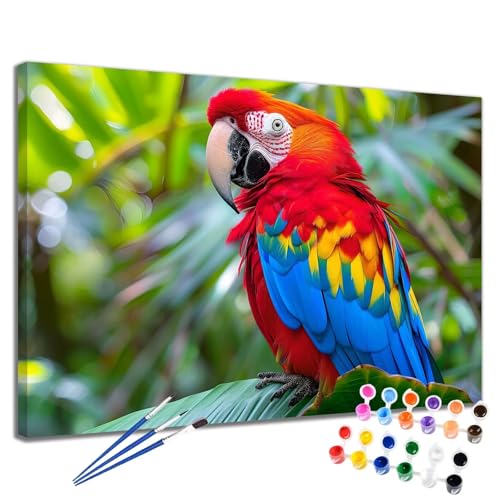 Malen Nach Zahlen Erwachsene Bunt Malen Nach Zahlen Papagei Groß Format 70x90 cm Handgemalt Ölgemälde, DIY Paint by Numbers Kit Pinseln und Acrylfarbe, Kreativ Bastelset Als Geschenk für Frauen 2W-244 von Meiaiao