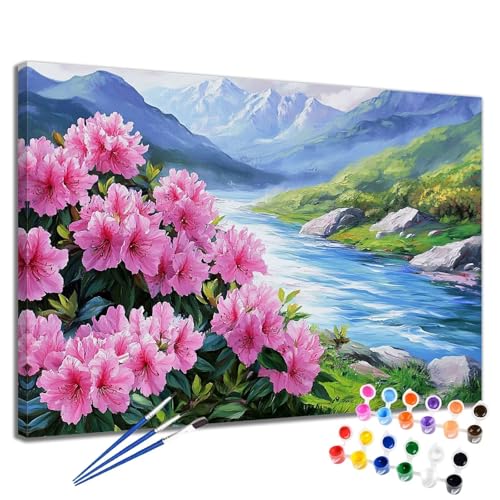 Malen Nach Zahlen Erwachsene Frühling Malen Nach Zahlen Blume Groß Format 70x90 cm Handgemalt Ölgemälde, DIY Paint by Numbers Kit Pinseln und Acrylfarbe, Bastelset Als Geschenk für Frauen 2W-957 von Meiaiao