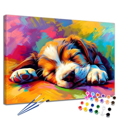 Malen Nach Zahlen Erwachsene Hund Malen Nach Zahlen Bunt Groß Format 70x90 cm Handgemalt Ölgemälde, DIY Paint by Numbers Kit 3-Pinseln und Acrylfarbe, Kreativ Bastelset Als Geschenk für Frauen 2W-297 von Meiaiao