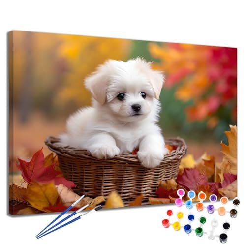 Malen Nach Zahlen Erwachsene Hund Malen Nach Zahlen Herbst Groß Format 70x90 cm Handgemalt Ölgemälde, DIY Paint by Numbers Kit Pinseln und Acrylfarbe, Kreativ Bastelset Als Geschenk für Frauen 2W-285 von Meiaiao