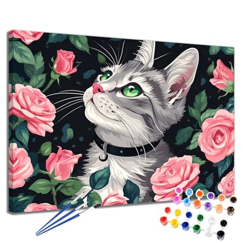Malen Nach Zahlen Erwachsene Katze Malen Nach Zahlen Rose Groß Format 50x65 cm Handgemalt Ölgemälde, DIY Paint by Numbers Kit 3-Pinseln und Acrylfarbe, Kreativ Bastelset Als Geschenk für Frauen 2W-193 von Meiaiao