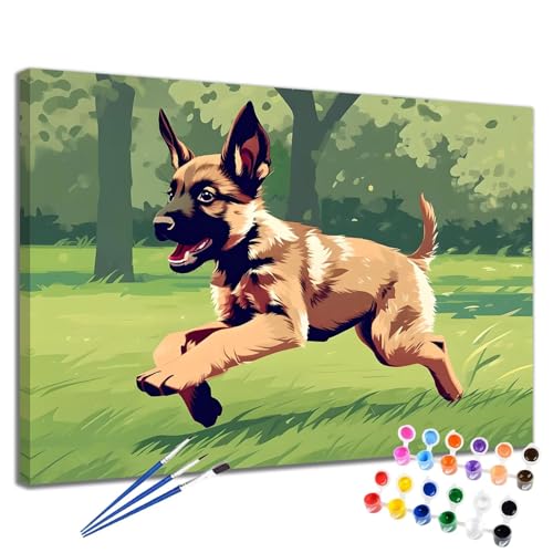 Malen Nach Zahlen Erwachsene Landschaft Malen Nach Zahlen Hund Groß Format 50x65 cm Handgemalt Ölgemälde, DIY Paint by Numbers Kit Pinseln und Acrylfarbe, Bastelset Als Geschenk für Frauen 2W-225 von Meiaiao