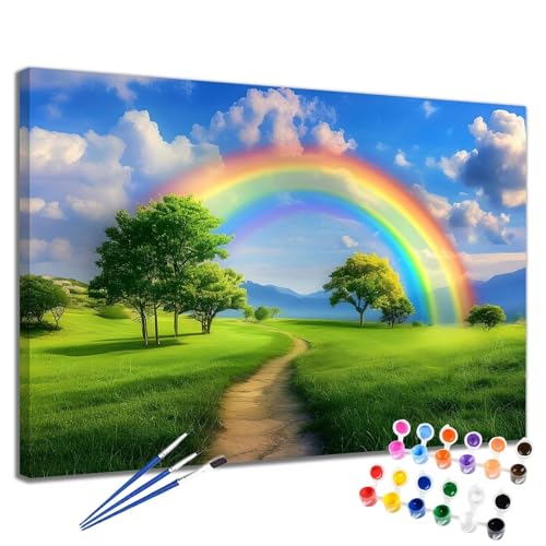 Malen Nach Zahlen Erwachsene Landschaft Malen Nach Zahlen Regenbogen Groß Format 70x90cm Handgemalt Ölgemälde, DIY Paint by Numbers Kit Pinseln und Acrylfarbe, Bastelset Als Geschenk für Frauen 2W-232 von Meiaiao