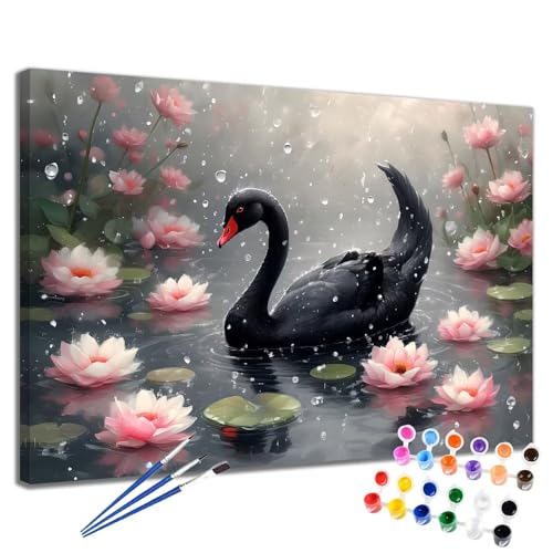 Malen Nach Zahlen Erwachsene Lotus Malen Nach Zahlen Schwan Groß Format 70x90 cm Handgemalt Ölgemälde, DIY Paint by Numbers Kit Pinseln und Acrylfarbe, Kreativ Bastelset Als Geschenk für Frauen 2W-213 von Meiaiao