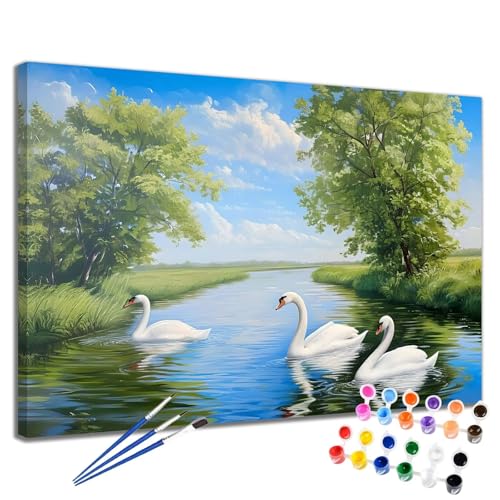 Malen Nach Zahlen Erwachsene See Malen Nach Zahlen Schwan Groß Format 70x90 cm Handgemalt Ölgemälde, DIY Paint by Numbers Kit 3-Pinseln und Acrylfarbe, Kreativ Bastelset Als Geschenk für Frauen 2W-274 von Meiaiao
