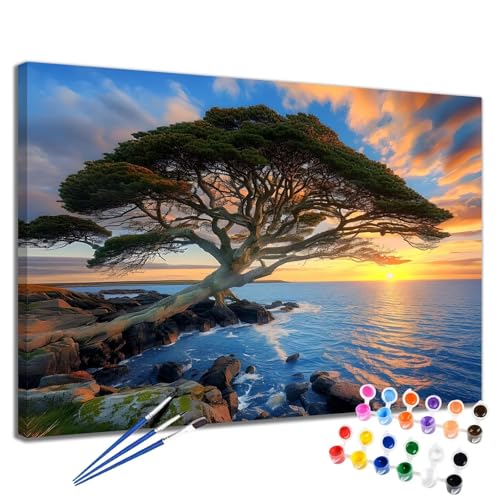 Malen Nach Zahlen Erwachsene Sonnenuntergang Malen Nach Zahlen Meer Groß Format 50x65 cm Handgemalt Ölgemälde, DIY Paint by Numbers Kit Pinseln und Acrylfarbe, Bastelset Als Geschenk für Frauen 2W-197 von Meiaiao