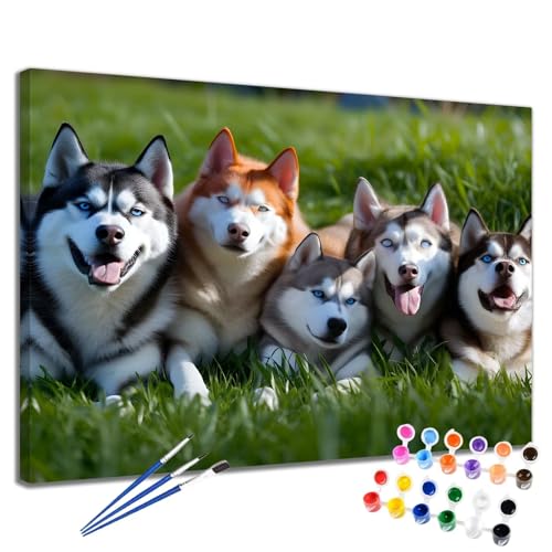 Malen Nach Zahlen Erwachsene Tier Malen Nach Zahlen Hund Groß Format 70x90 cm Handgemalt Ölgemälde, DIY Paint by Numbers Kit 3-Pinseln und Acrylfarbe, Kreativ Bastelset Als Geschenk für Frauen 2W-237 von Meiaiao