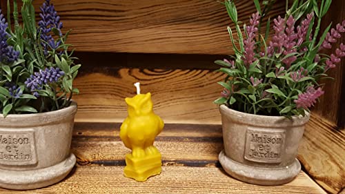 Eule auf Büchern von Meiers Bienenprodukte